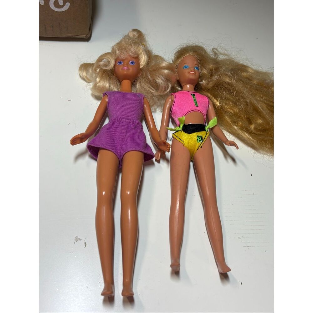 Vintage Mattel Barbie Skipper Fashion Dolls Lot of 2
